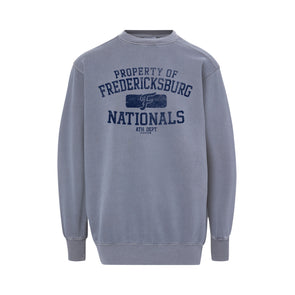 FredNats Blue Coastal Crewneck Sweatshirt